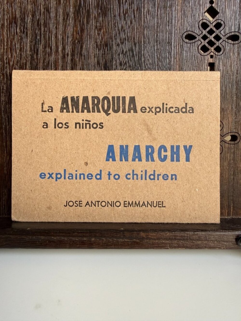 Rare Bilingual Anarchy Explained to Children Risograph Indie Art Book